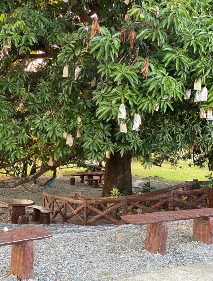 Michaels - Farm Nr Patar & Falls Bolinao