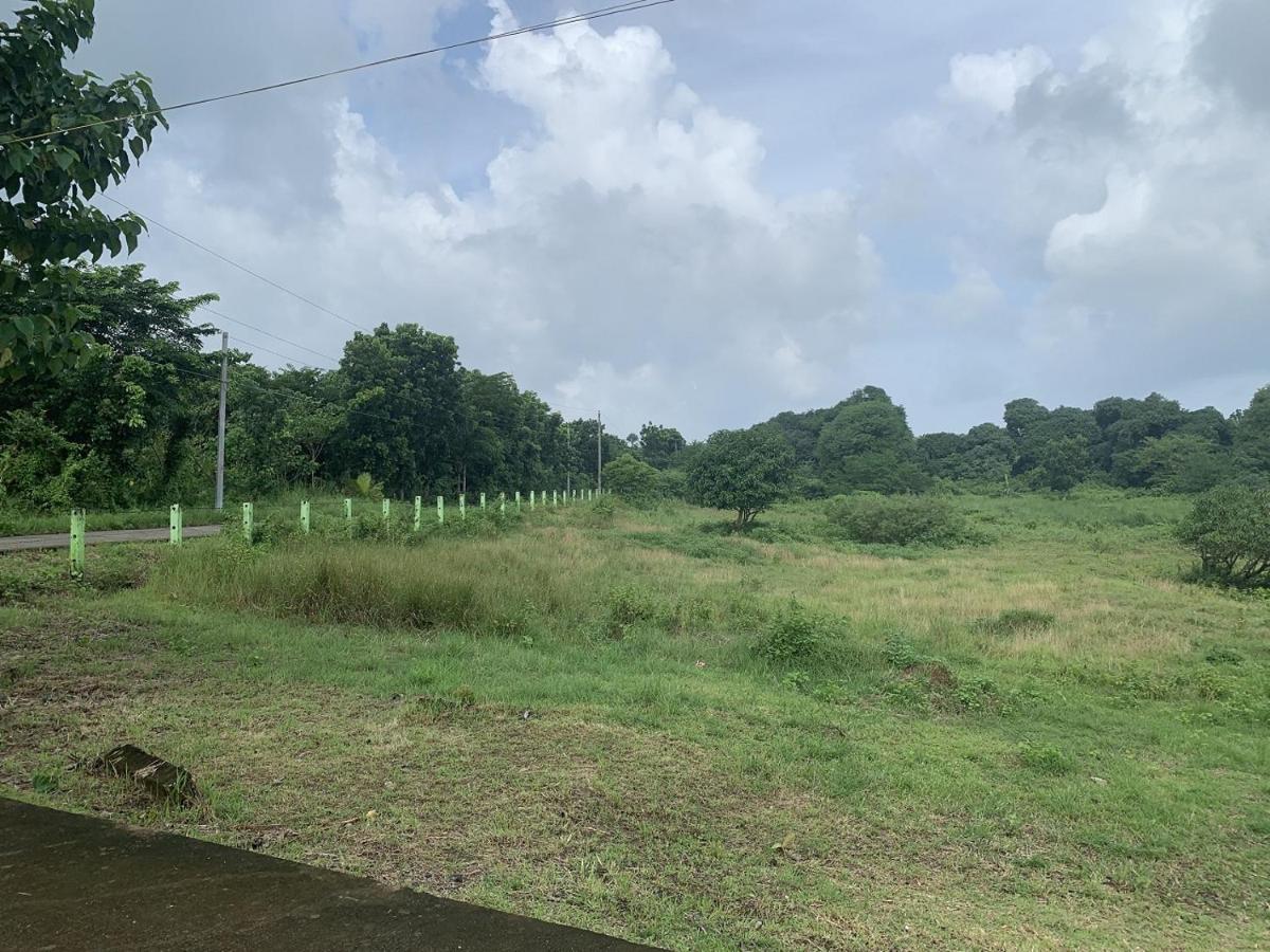 Farm stay Michaels - Farm Nr Patar & Falls